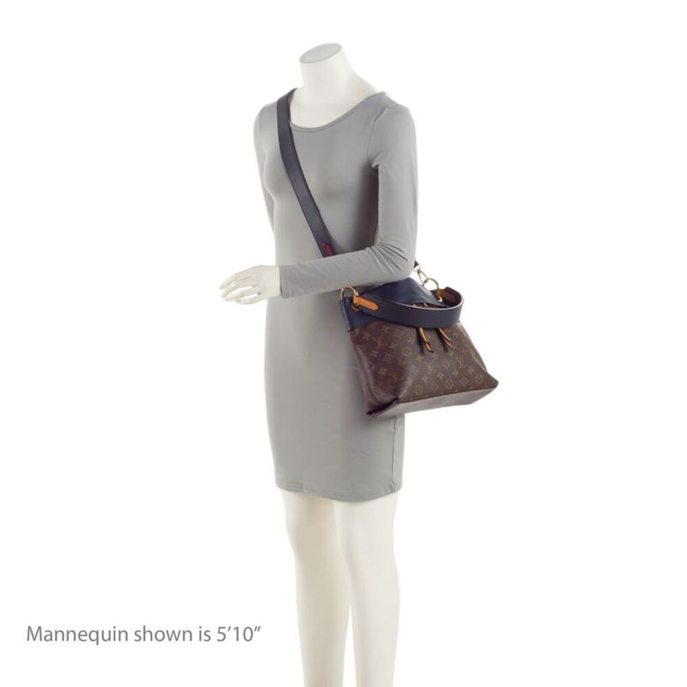 Louis Vuitton Monogram Canvas Tuileries Besace Shoulder Bag - Picture 5 of 15